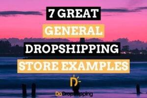 7 Great General Dropshipping Store Examples