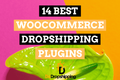 14 Best WooCommerce Dropshipping Plugins