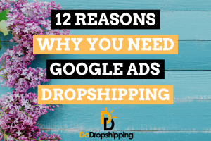 12 Reasons Why to Use Google Ads for Your Dropshipping Store