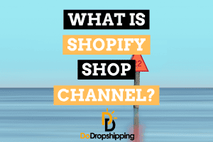 What Is Shopify’s Shop Channel? (And How Do You Use It?)